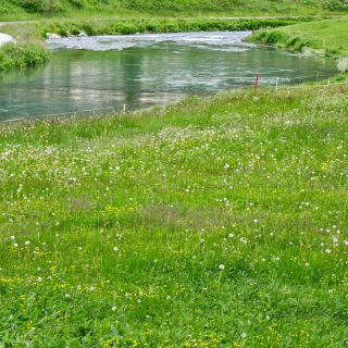 En train de charger...