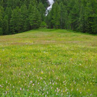 En train de charger...