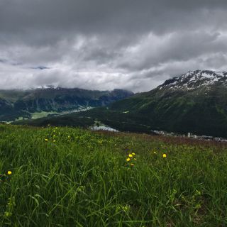 En train de charger...