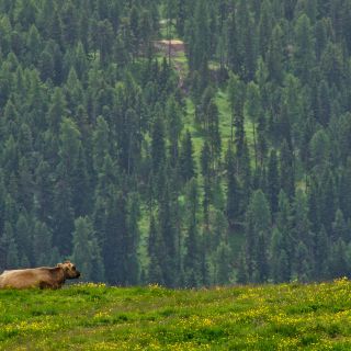 En train de charger...