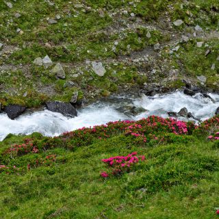 En train de charger...
