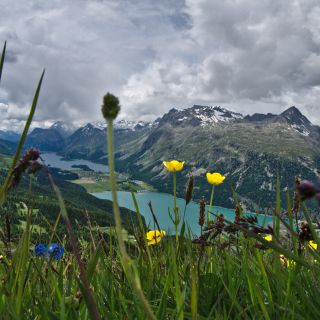 En train de charger...