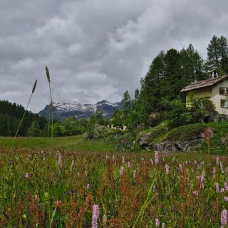 En train de charger...