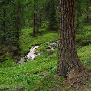 En train de charger...