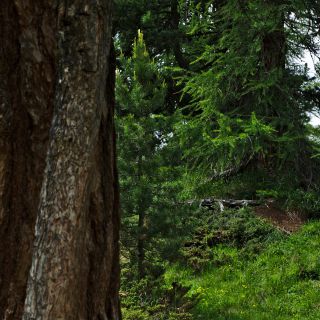 En train de charger...