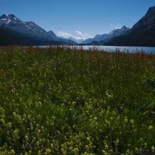 En train de charger...