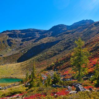 En train de charger...