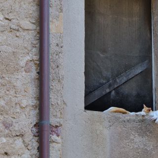 En train de charger...