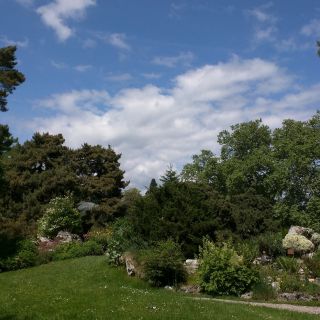 En train de charger...