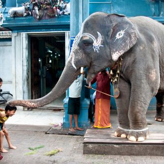 En train de charger...