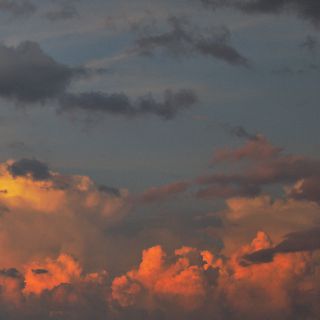 En train de charger...