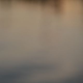 En train de charger...