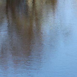 En train de charger...