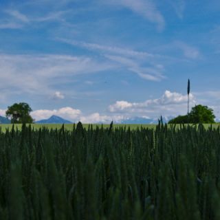 En train de charger...