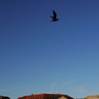 En train de charger...