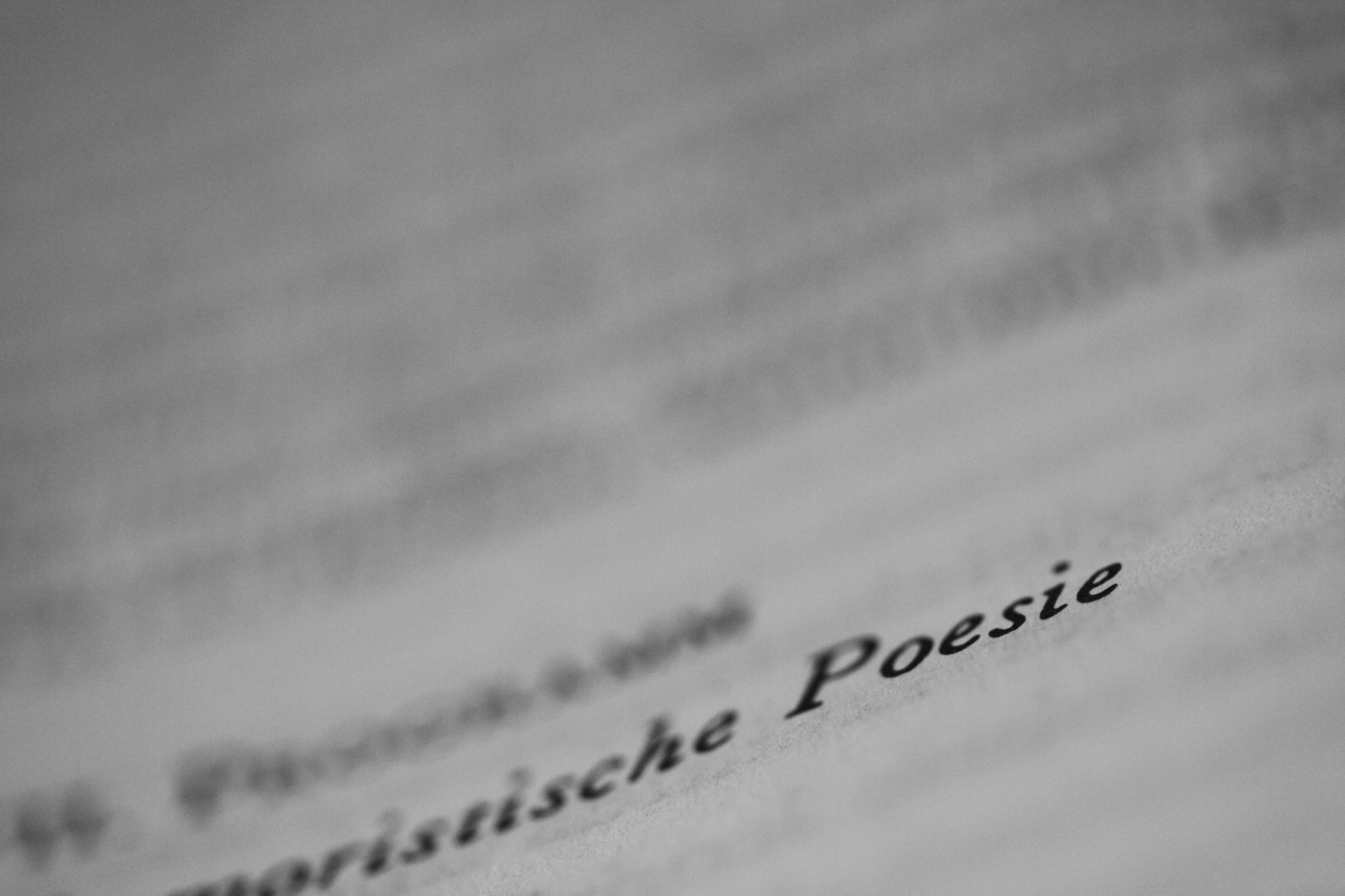 macrophotographie d'une page de livre, le mot poésie est lisible